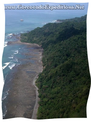 Corcovado National Park Pic