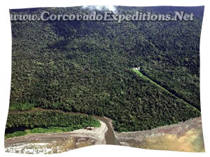 Corcovado National Park Picture