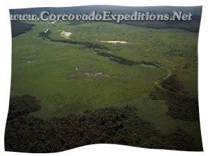 Corcovado National Park Picture