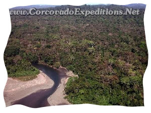 Corcovado National Park Picture