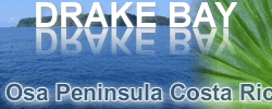 Banner Corcovado Expeditions