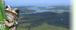 baner2
