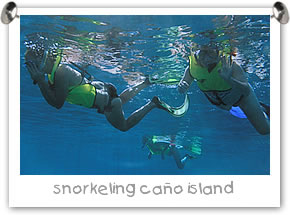 Snorkeling at Caño Island